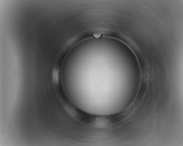 X0000115230070200911061136