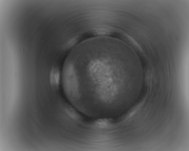 X0000115230076200911061136