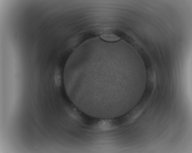 X0000115230080200911061136