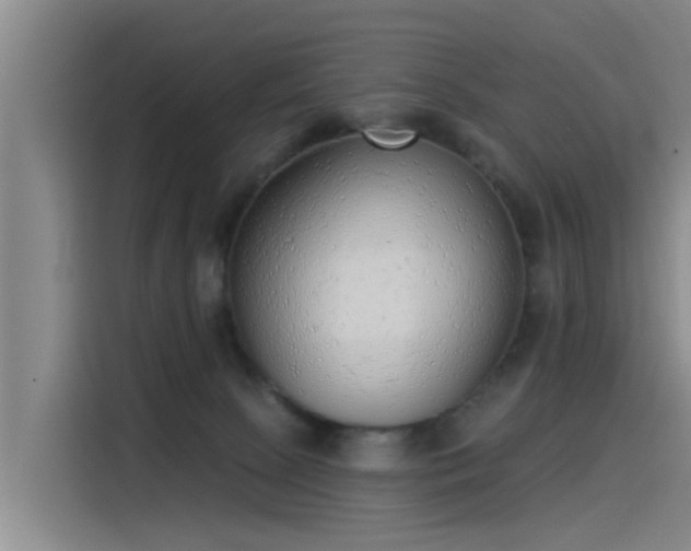 X0000115230081200911061136