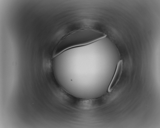 X0000115230084200911061136