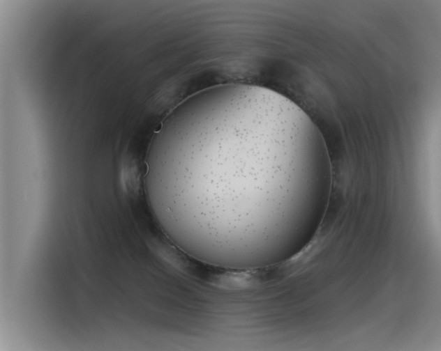 X0000115230086200911061136