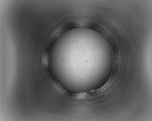 X0000115230090200911061136