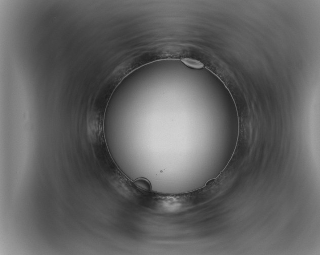 X0000115230091200911061136