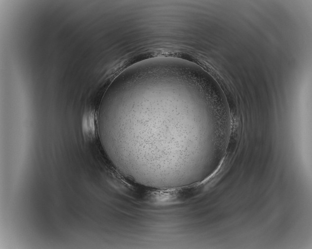 X0000115230094200911061136