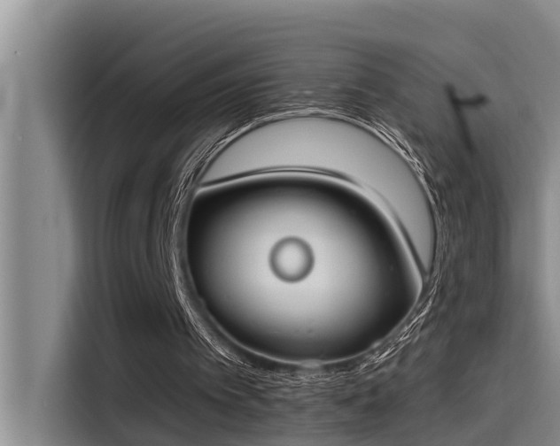 X0000115230097200911061135
