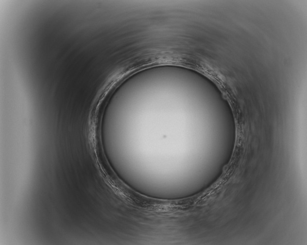 X0000115230098200911061135
