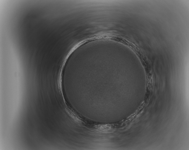 X0000115230100200911061135