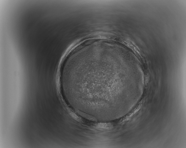 X0000115230101200911061135