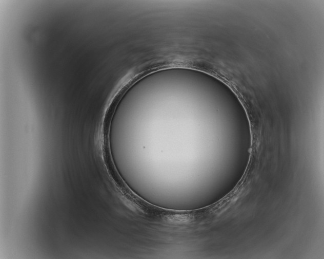 X0000115230102200911061135