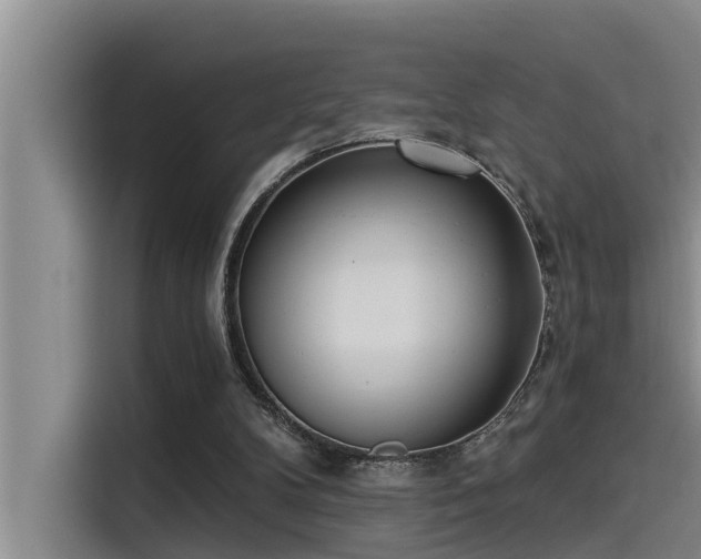 X0000115230104200911061135