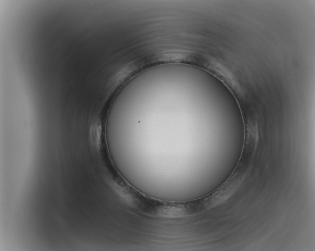 X0000115230110200911061135