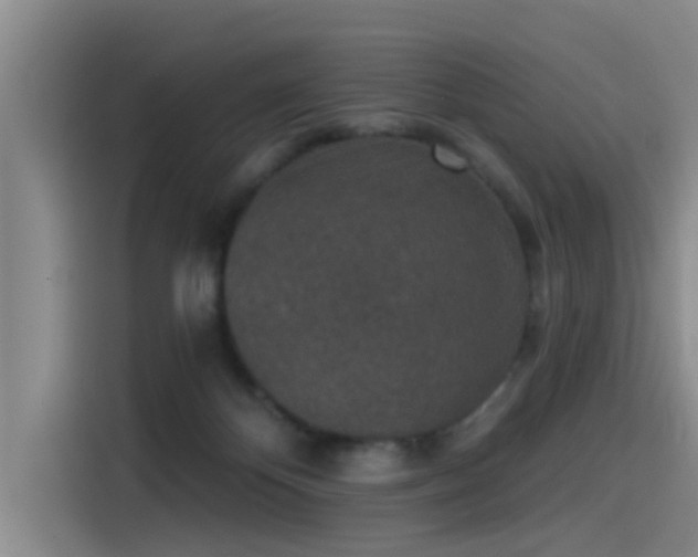 X0000115230124200911061135