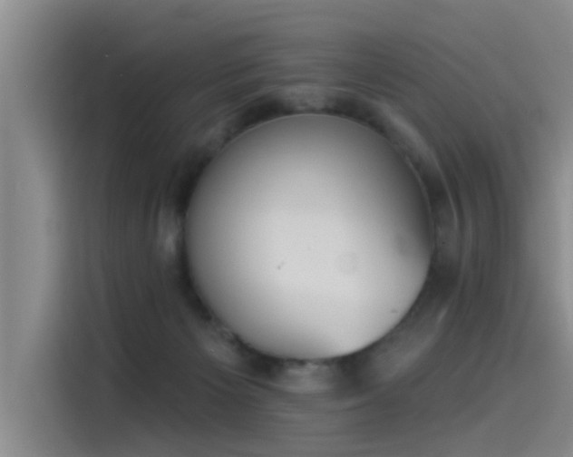 X0000115230125200911061135