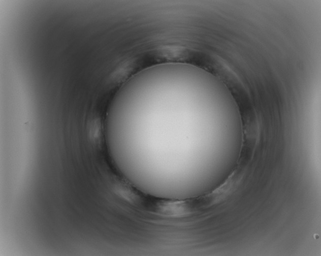 X0000115230132200911061135