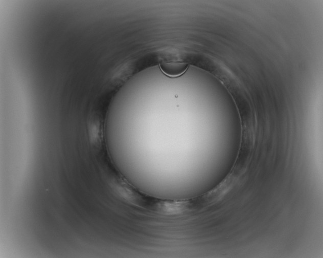 X0000115230134200911061135