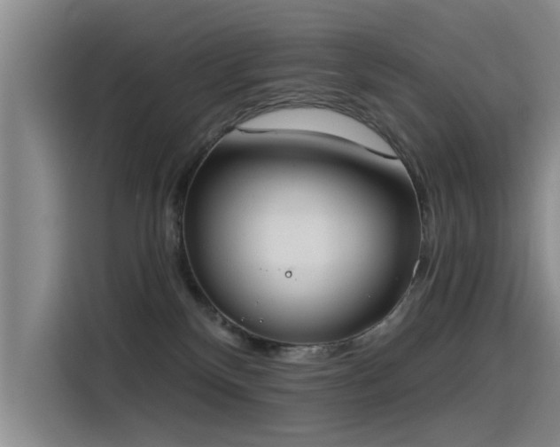 X0000115230136200911061135