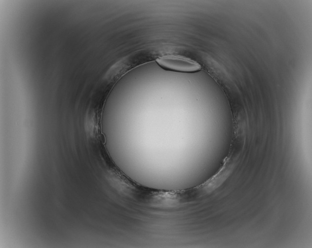 X0000115230140200911061135
