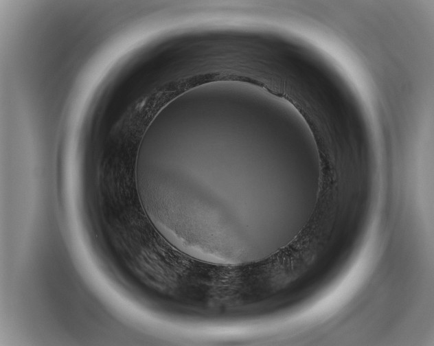 X0000115230143200911061135