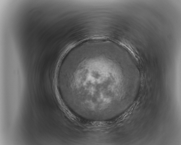 X0000115230145200911061134
