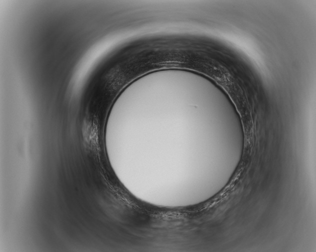 X0000115230146200911061134