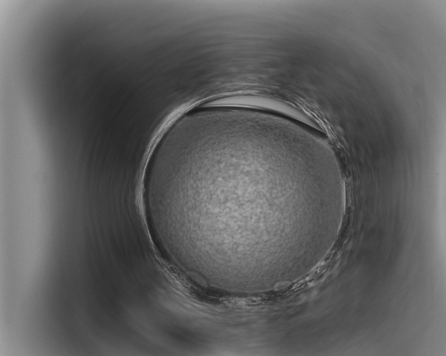 X0000115230147200911061134
