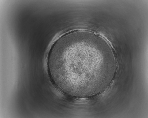X0000115230151200911061134