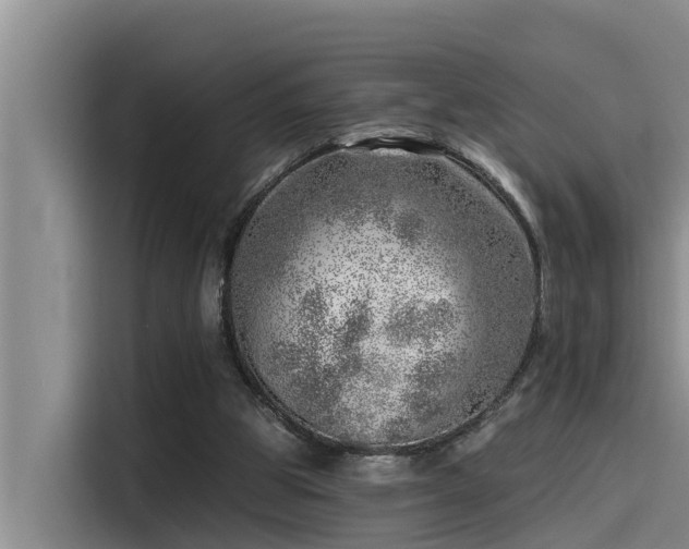 X0000115230153200911061134