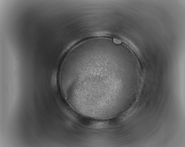 X0000115230155200911061134