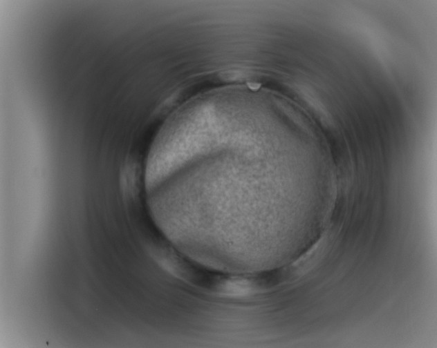 X0000115230171200911061134