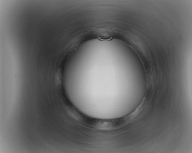 X0000115230174200911061134