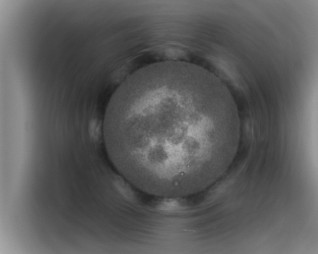 X0000115230177200911061134
