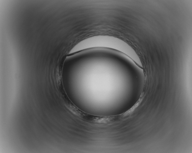 X0000115230186200911061135