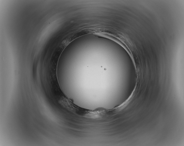 X0000115230190200911061135