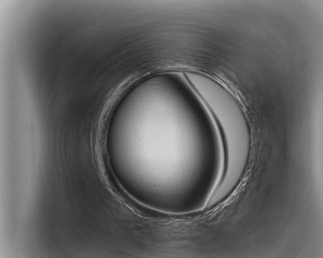 X0000115230193200911061134