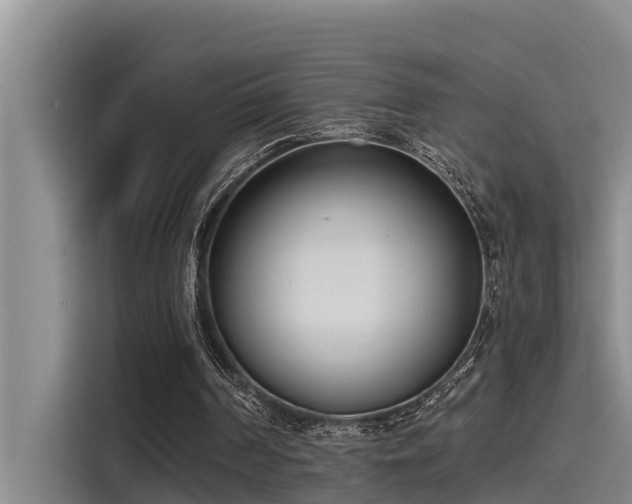 X0000115230194200911061134