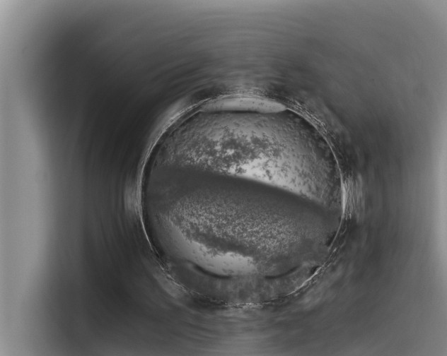 X0000115230195200911061134