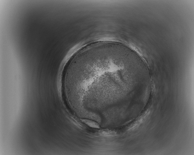 X0000115230199200911061134