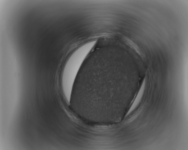 X0000115230205200911061134