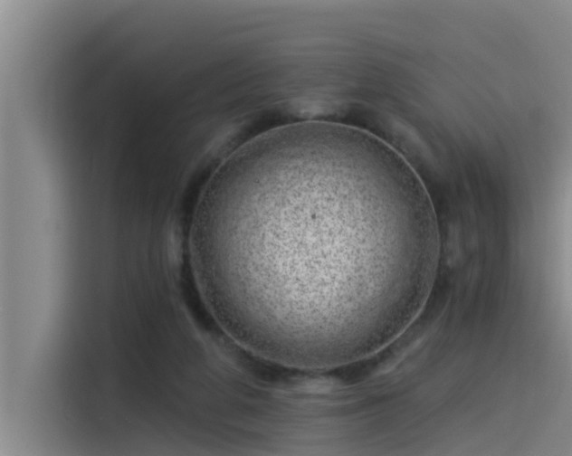 X0000115230210200911061134