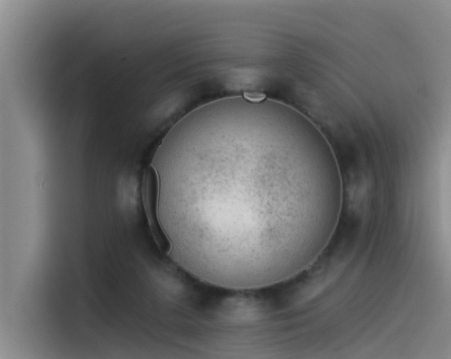 X0000115230211200911061134