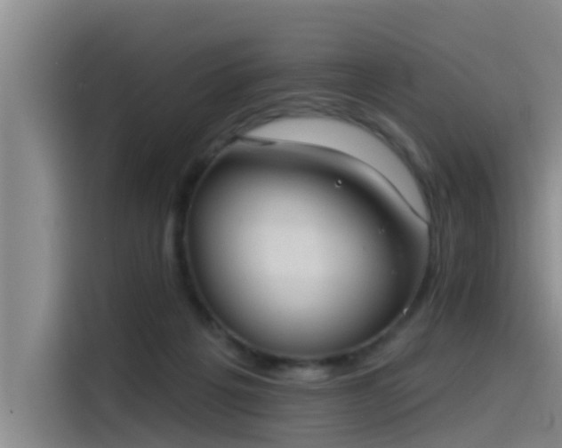 X0000115230217200911061134