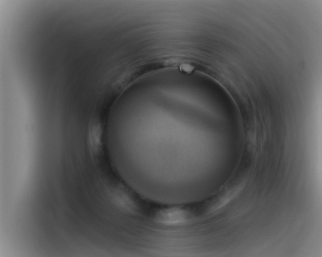 X0000115230219200911061134