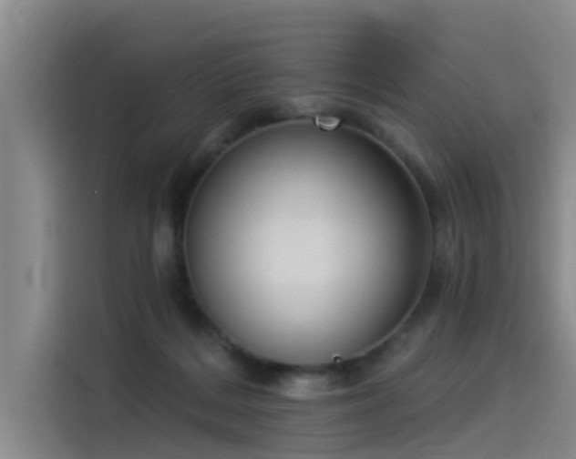 X0000115230220200911061134