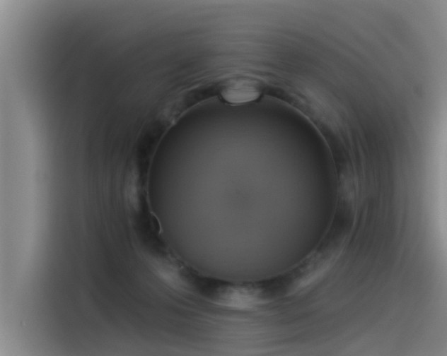 X0000115230223200911061134