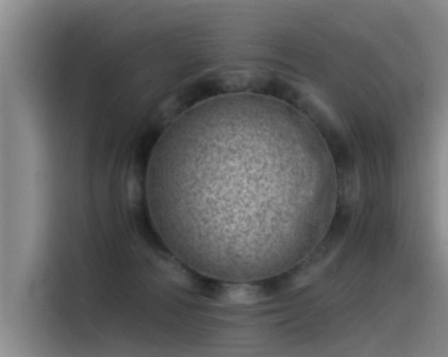 X0000115230226200911061134