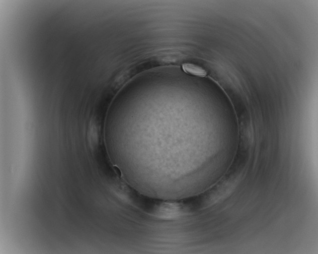 X0000115230227200911061134