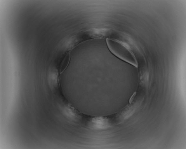 X0000115230231200911061133