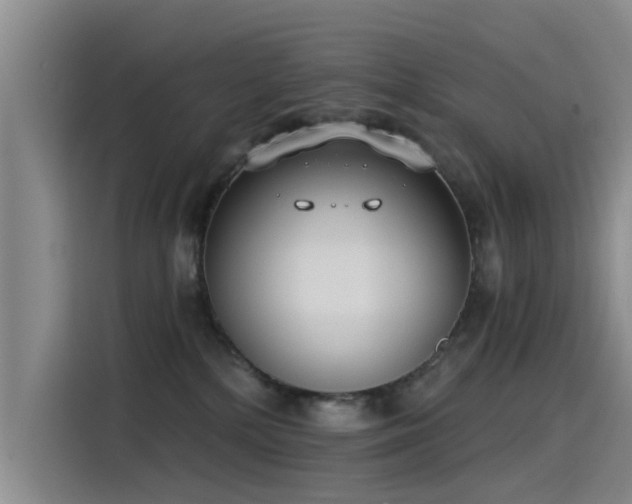X0000115230232200911061133
