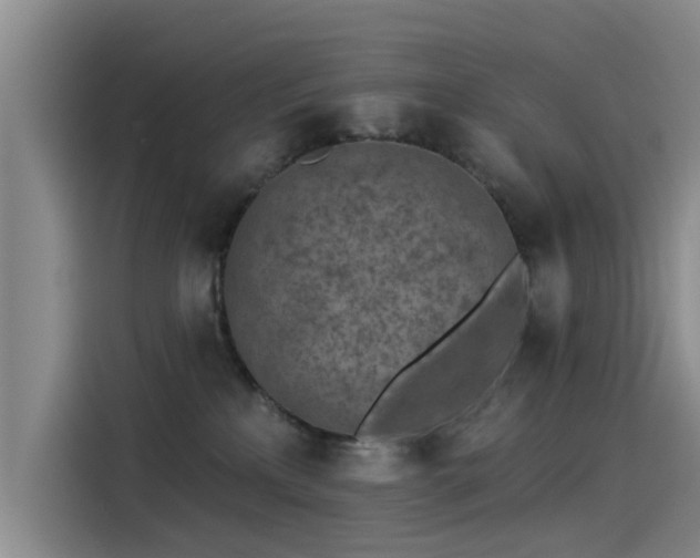 X0000115230233200911061133
